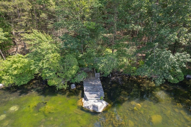 1064 Barrett Cir W, Carmel, NY 10512 - photo 42