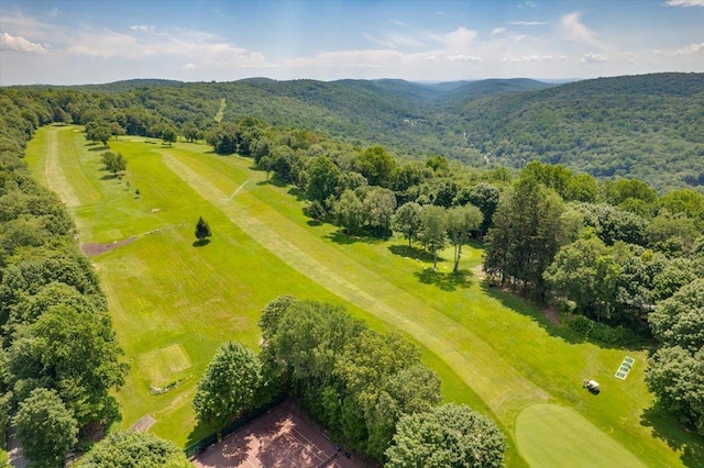 1064 Barrett Cir W, Carmel, NY 10512 - photo 47