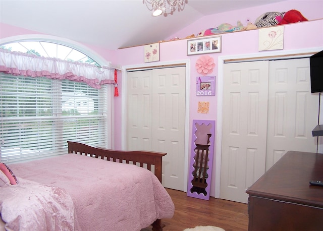 8 Mannes St, Ronkonkoma, NY 11779 - bedroom with lofted ceiling, two closets, and wood finished floors