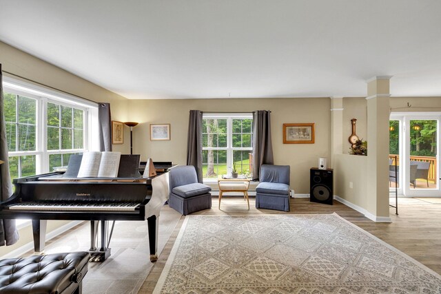 27 Balsam Rd, Hyde Park, NY 12538 - living area featuring plenty of natural light and light wood-type flooring