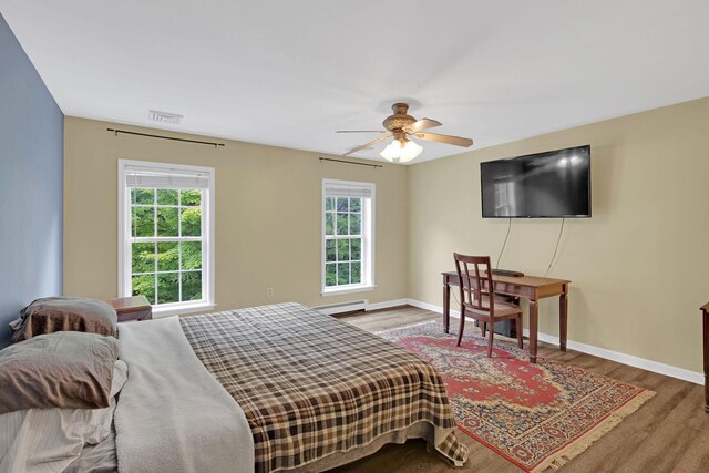 27 Balsam Rd, Hyde Park, NY 12538 - bedroom with a baseboard heating unit, multiple windows, wood finished floors, and a ceiling fan