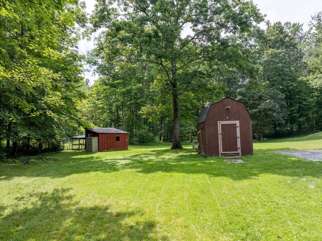 27 Balsam Rd, Hyde Park, NY 12538 - view of grassy yard featuring a storage unit
