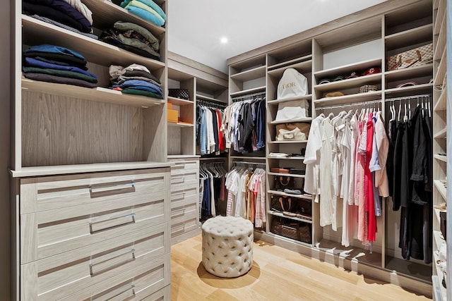 1 Fiske Ave, Westhampton Beach, NY 11978 - spacious closet with light wood-type flooring