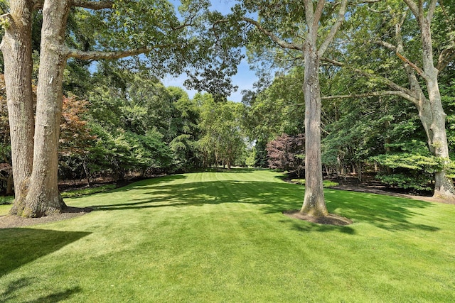 7 Dodge Ln, Old Field, NY 11733 - photo 13