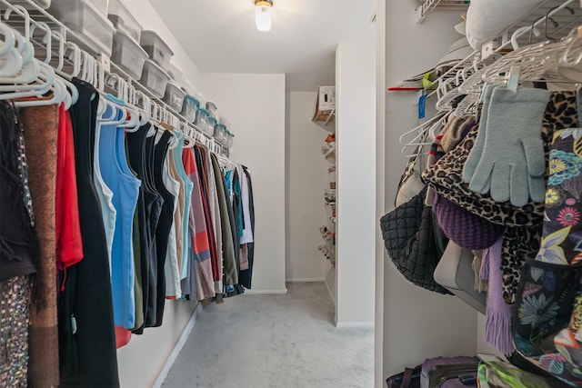 79 Meadow Way, Hopewell Junction, NY 12533 - walk in closet with carpet floors