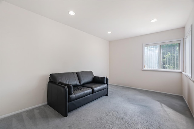 79 Meadow Way, Hopewell Junction, NY 12533 - sitting room featuring carpet flooring and recessed lighting