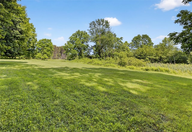501 Pine Bush Rd, Stone Ridge, NY 12484 - photo 27