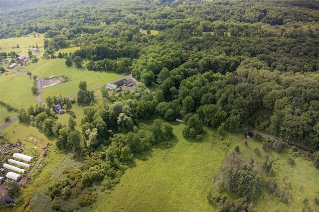 501 Pine Bush Rd, Stone Ridge, NY 12484 - photo 29