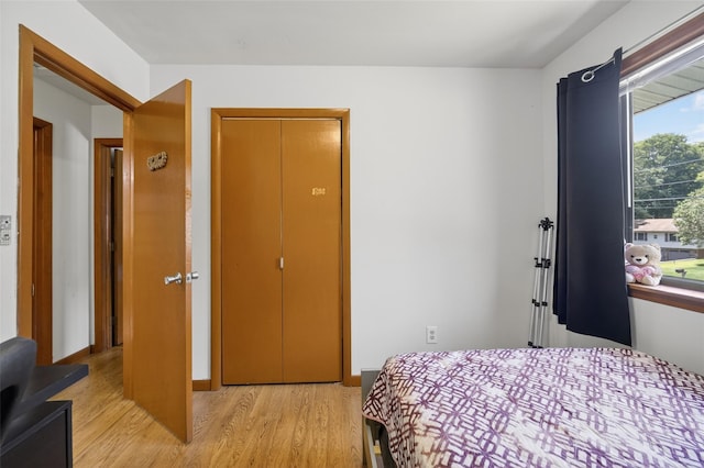49 Raker Rd, Poughkeepsie, NY 12603 - bedroom featuring light wood finished floors