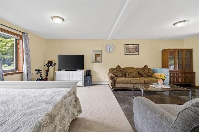 49 Raker Rd, Poughkeepsie, NY 12603 - bedroom featuring a baseboard heating unit and beam ceiling