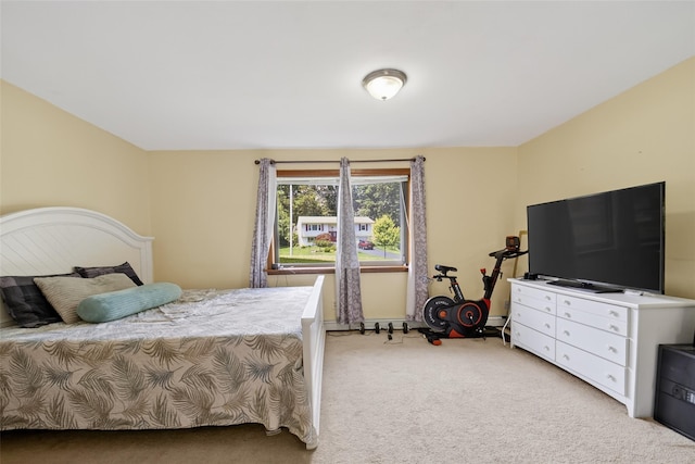 49 Raker Rd, Poughkeepsie, NY 12603 - bedroom featuring light carpet