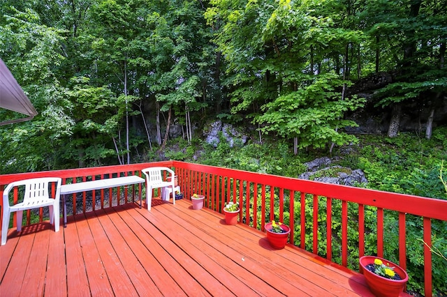 49 Raker Rd, Poughkeepsie, NY 12603 - view of wooden terrace