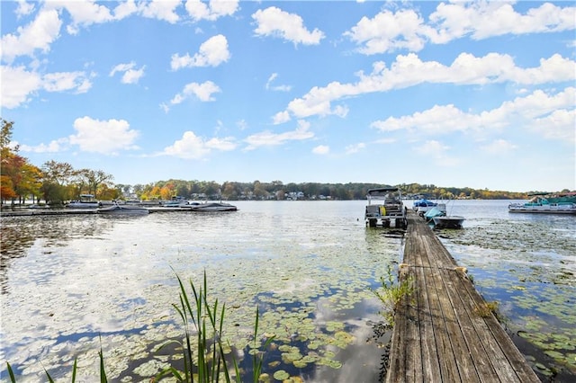 5 Orchard Dr, North Salem, NY 10560 - dock with a water view