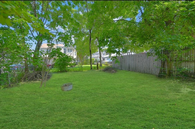 29 William St, Ossining, NY 10562 - view of yard
