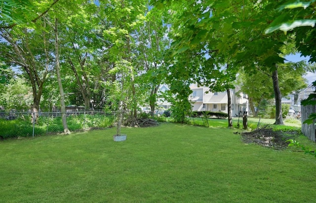 29 William St, Ossining, NY 10562 - view of yard