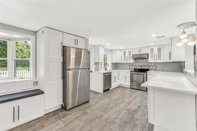 8 W Ln, South Salem, NY 10590 - kitchen featuring appliances with stainless steel finishes, under cabinet range hood, tasteful backsplash, white cabinets, and glass insert cabinets