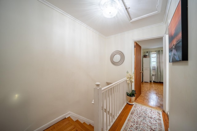 1720A Paulding Ave, Bronx, NY 10462 - photo 8