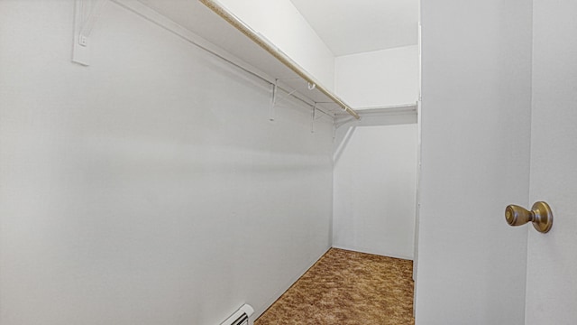 70 Wilson Ave, Mastic Beach, NY 11951 - walk in closet with carpet floors