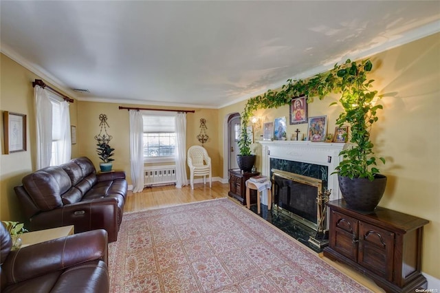 121 6th St, Hicksville, NY 11801 - living area with radiator heating unit, a high end fireplace, wood finished floors, arched walkways, and crown molding
