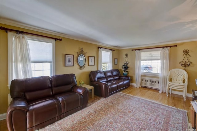 121 6th St, Hicksville, NY 11801 - living room with radiator, wood finished floors, and ornamental molding