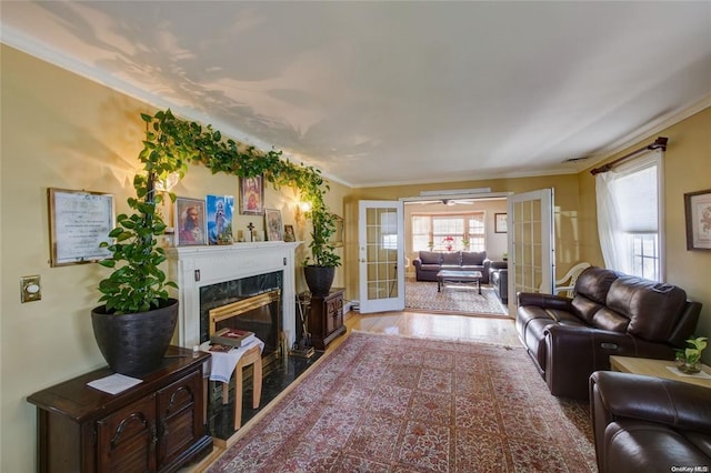 121 6th St, Hicksville, NY 11801 - living room with french doors, plenty of natural light, a premium fireplace, wood finished floors, and crown molding