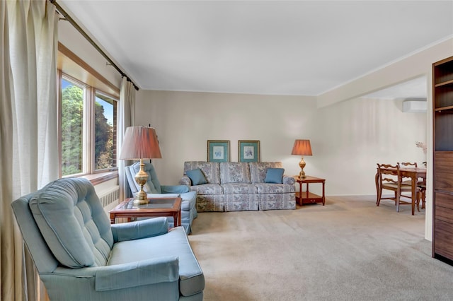 31 Amby Ave, Plainview, NY 11803 - carpeted living room with radiator heating unit and ornamental molding