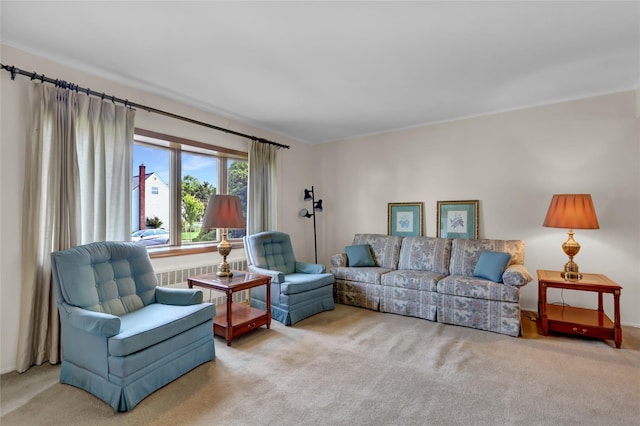 31 Amby Ave, Plainview, NY 11803 - view of carpeted living area