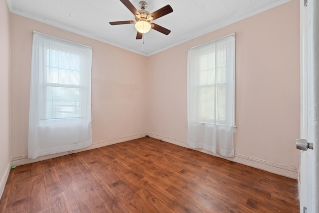 337 Grant Ave, Brooklyn, NY 11208 - photo 26