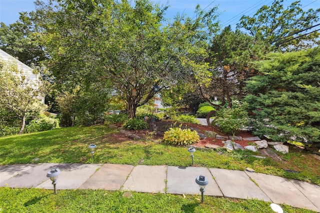 69 Ardell Rd, Bronxville, NY 10708 - view of green lawn
