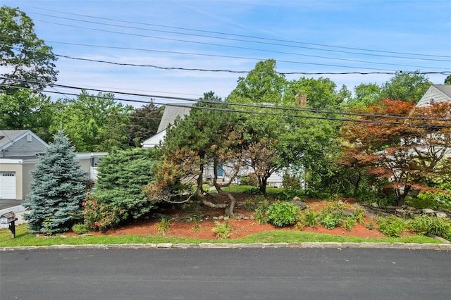 69 Ardell Rd, Bronxville, NY 10708 - view of obstructed view of property