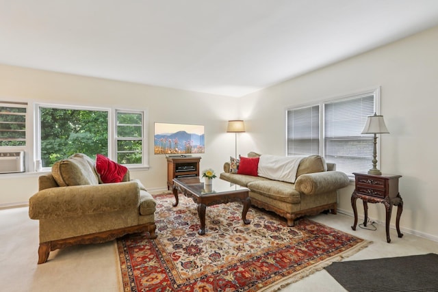 4 Aldine Park, Nyack, NY 10960 - living area featuring carpet flooring and cooling unit