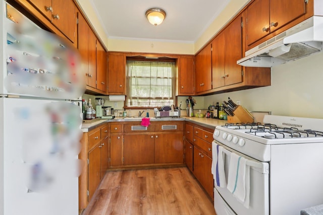 4 Aldine Park, Nyack, NY 10960 - kitchen featuring white appliances, under cabinet range hood, light wood-style flooring, brown cabinetry, and light countertops