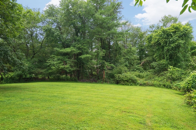125 Longdale Rd, Mahopac, NY 10541 - photo 3