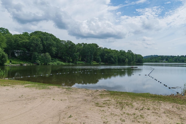 125 Longdale Rd, Mahopac, NY 10541 - photo 29
