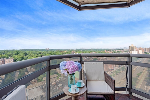 11201 Queens Blvd Unit 18D, Forest Hills, NY 11375 - balcony with a city view