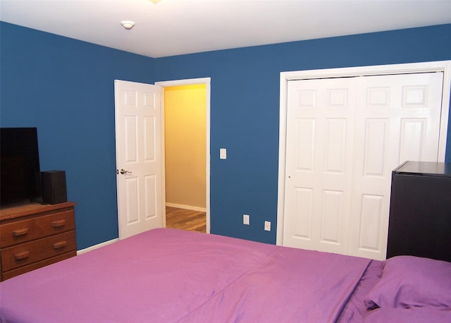 8 Country View Ln, Middle Island, NY 11953 - bedroom featuring a closet and wood finished floors