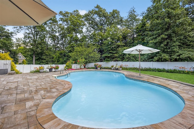 15 E Salem Rd, Fishkill, NY 12524 - view of swimming pool featuring a patio, a fenced backyard, and view of wooded area