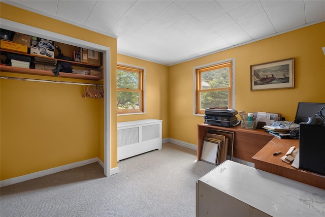 27 Neulist Ave, Port Washington, NY 11050 - office area with radiator heating unit and carpet floors