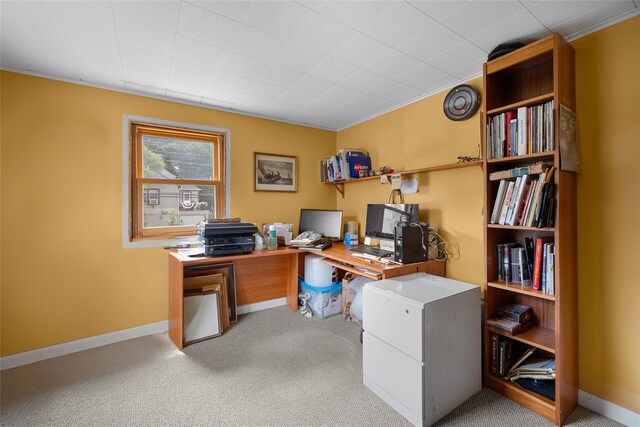 27 Neulist Ave, Port Washington, NY 11050 - office area with light colored carpet