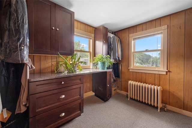27 Neulist Ave, Port Washington, NY 11050 - interior space with radiator heating unit, healthy amount of natural light, wooden walls, and carpet