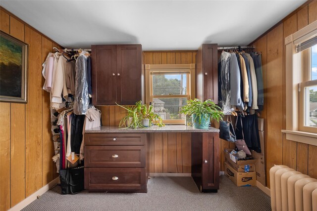 27 Neulist Ave, Port Washington, NY 11050 - walk in closet with radiator and light colored carpet