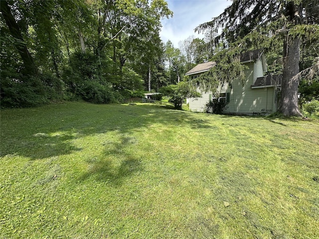 16 Upper Ferndale Rd, Liberty, NY 12754 - view of grassy yard