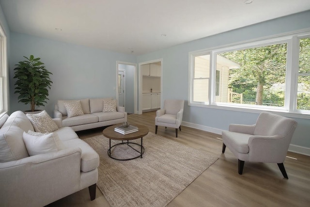 64 Maple Ave, Flanders, NY 11901 - living area with baseboards and wood finished floors