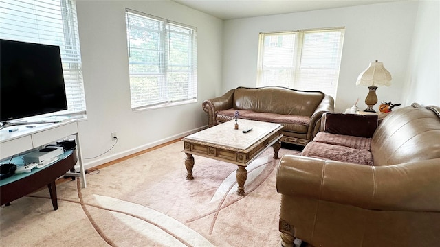 14 Upper Ferndale Rd, Liberty, NY 12754 - living room featuring plenty of natural light and light carpet