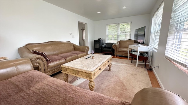 14 Upper Ferndale Rd, Liberty, NY 12754 - living area featuring baseboards and recessed lighting