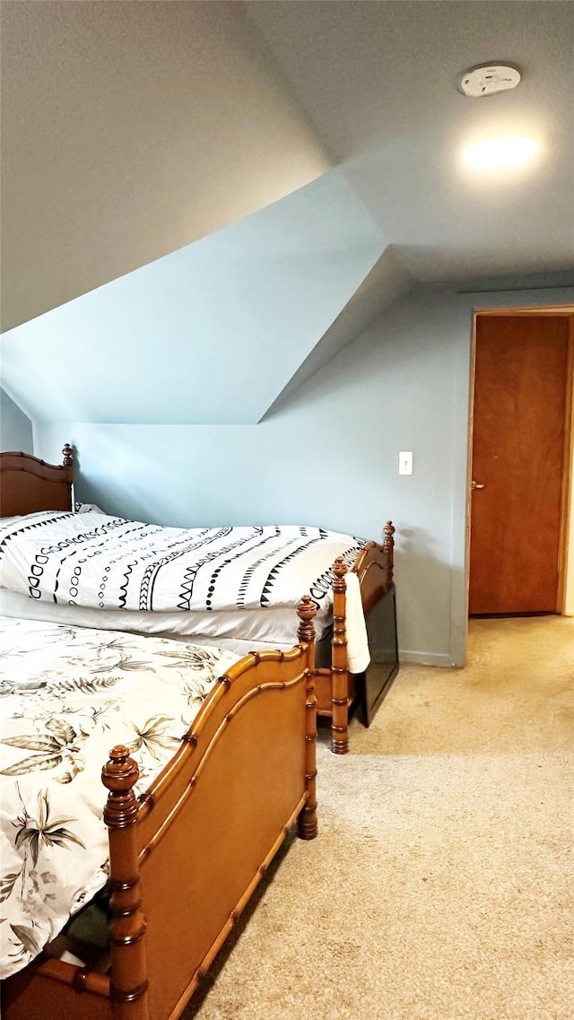 14 Upper Ferndale Rd, Liberty, NY 12754 - bedroom with light carpet and lofted ceiling