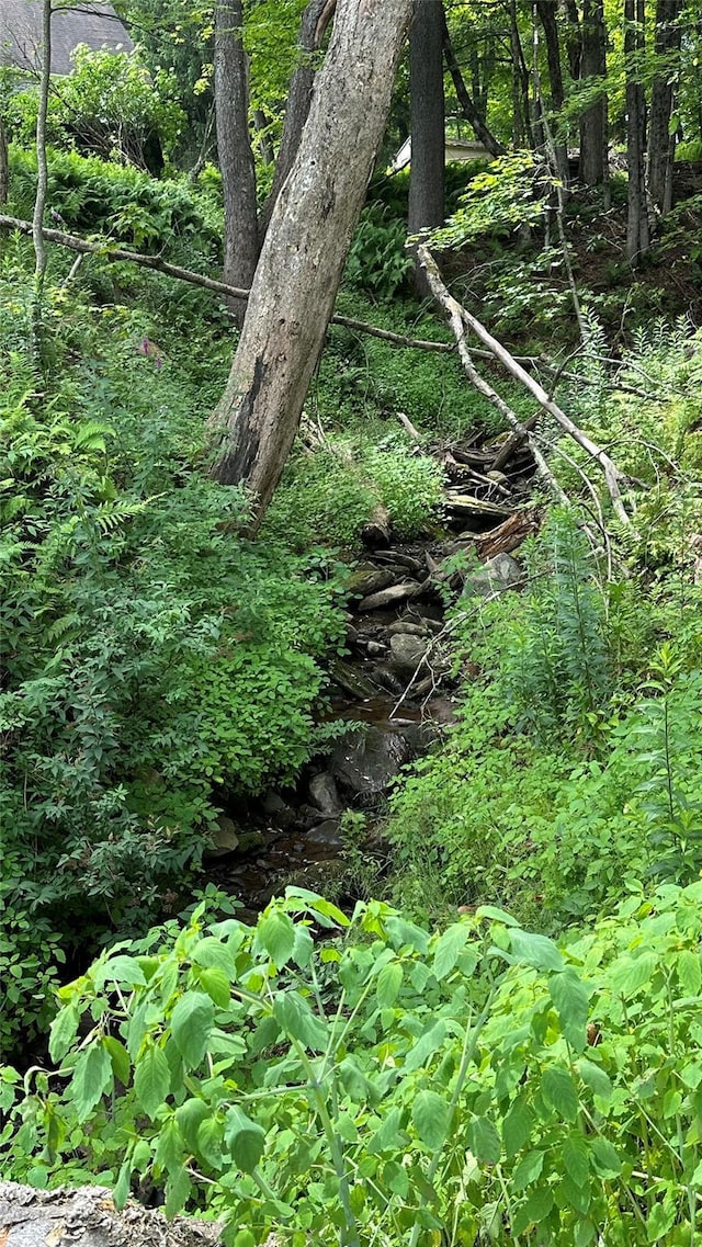 14 Upper Ferndale Rd, Liberty, NY 12754 - view of nature