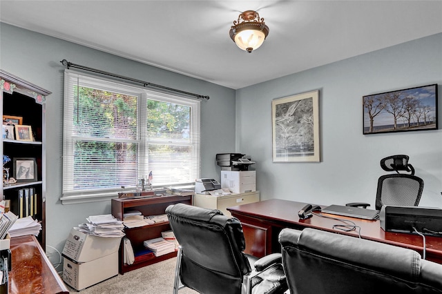 49 Primrose Ln, North Babylon, NY 11703 - office featuring carpet