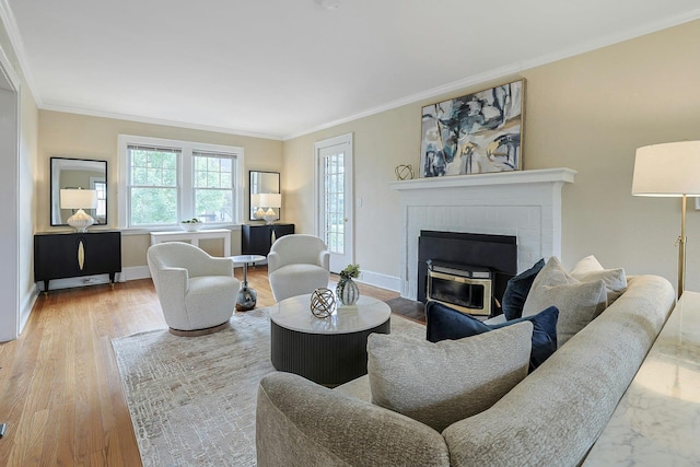 48 Faneuil Pl, New Rochelle, NY 10801 - living room featuring a fireplace, crown molding, and wood finished floors