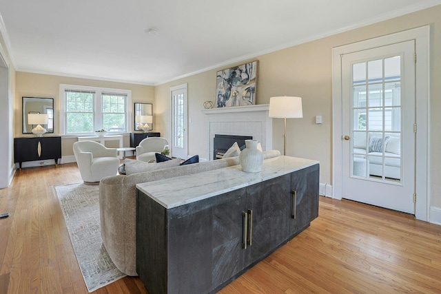 48 Faneuil Pl, New Rochelle, NY 10801 - living area featuring crown molding, light wood-style floors, and a brick fireplace